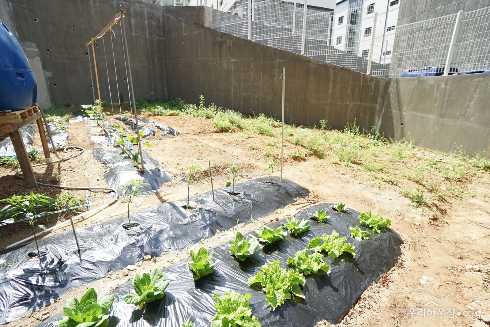 [동영상]  성남 인접한 광주시 회덕동, 완전 평지에 입지, 5개동 38세대, 세련된 인테리어, 엘리베이터, 창고, 보조주방 설치, 텃밭 사용 가능 [회덕동신축빌라]