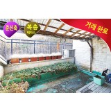 [거래완료] 대로변 바로옆에 위치한 테라스가 있는 복층, 거실앞 숲세권 뷰, 숲전망과 이어지는 복층 테라스 뷰~, 버스정류장 도보 3분, 성남 출퇴근 편리한 목현동, 대로변 가까운곳 찾으실때 딱!
